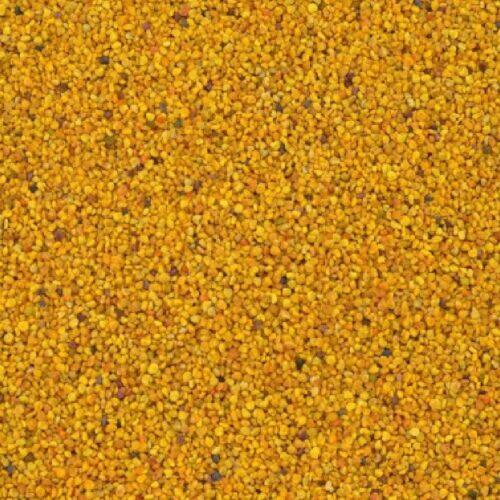 bijenpollen / stuifmeelkorrels