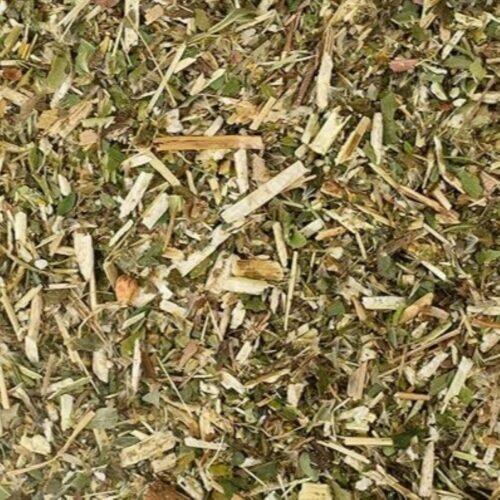 Guldenroede - Solidago virgaurea