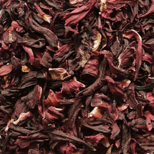 Hibiscus