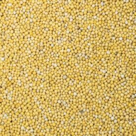 Mosterdzaad geel
