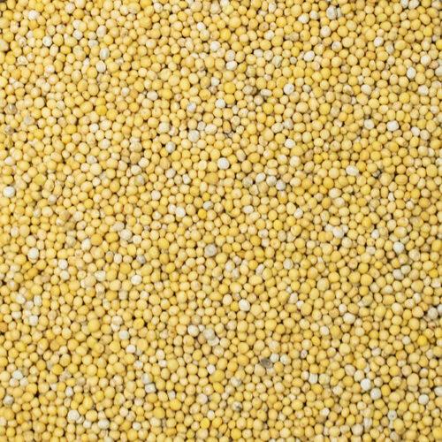 Mosterdzaad geel