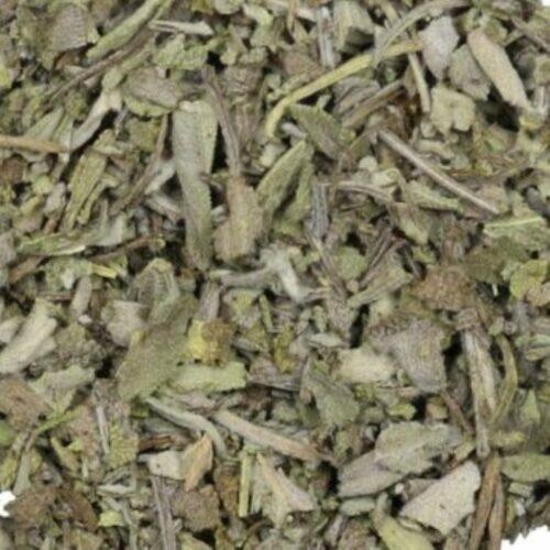 Salie - Salvia officinalis