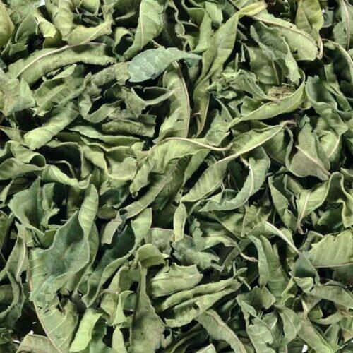IJzerkruid heel – Citroenverbena - Verveine