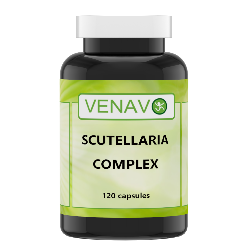 Scutellaria complex