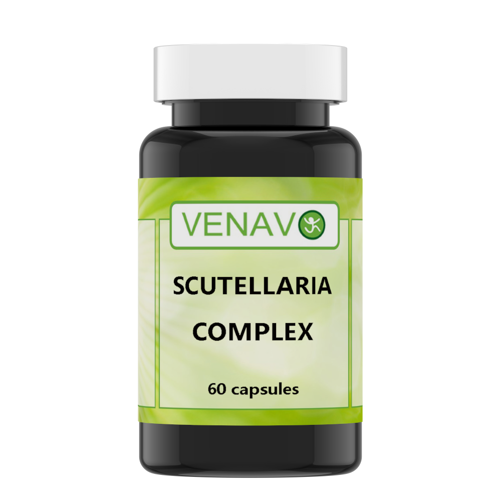 Scutellaria complex